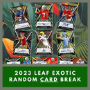 2023 Leaf Exotic Football Random Card Break